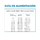 3.webp