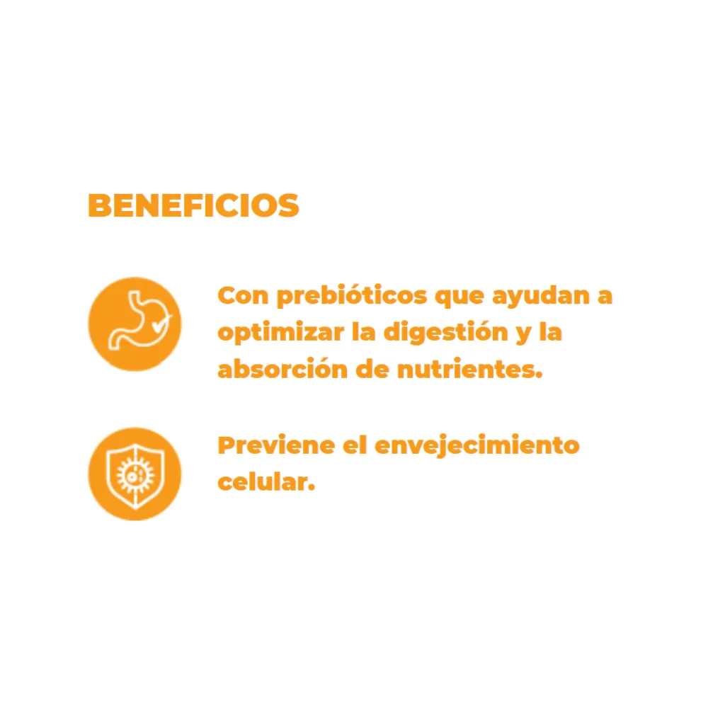 Diseño sin título.webp