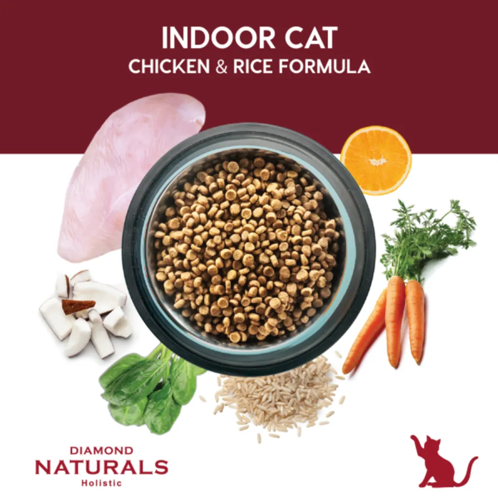 DIAMOND_INDOOR-CAT-ANALISIS-3.webp