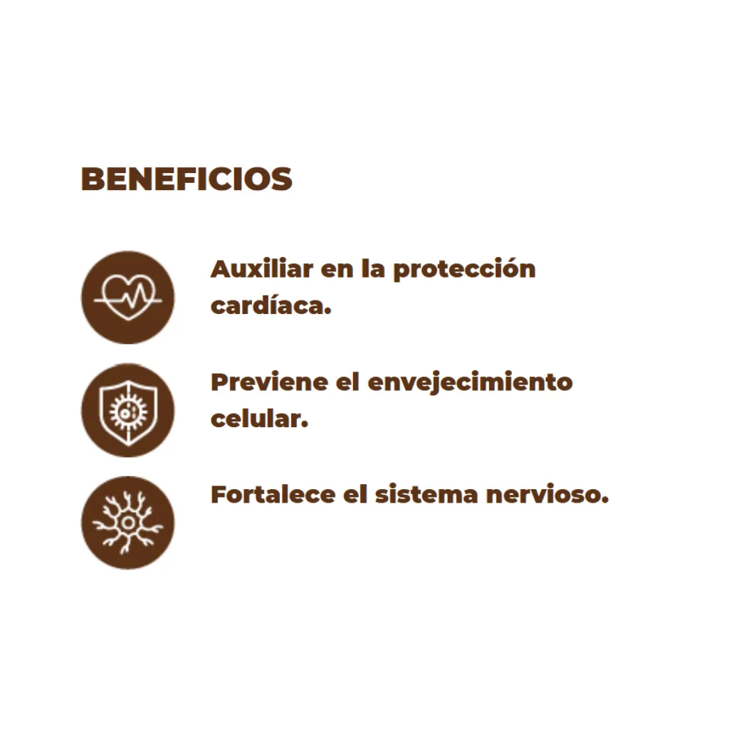 Diseño sin título (9).webp