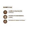 Diseño sin título (9).webp