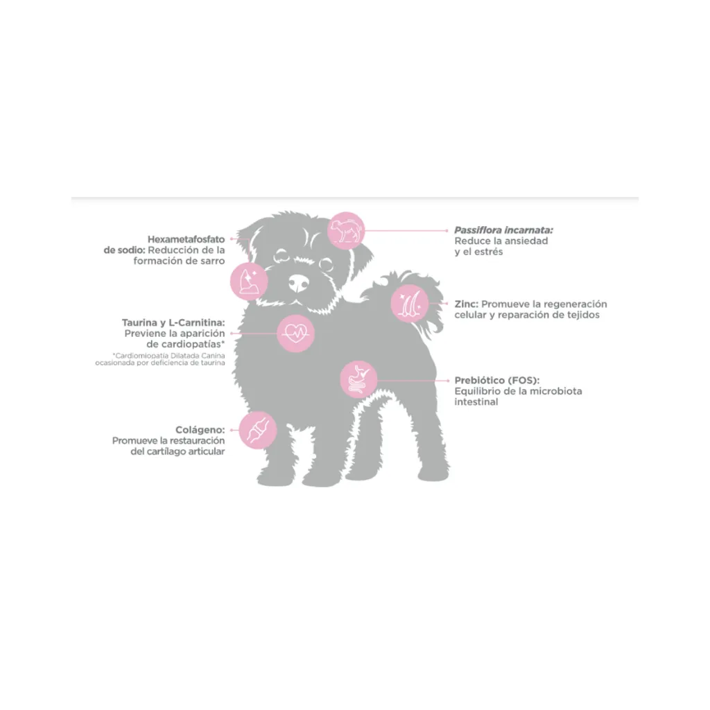 ADULTO RM (2).webp