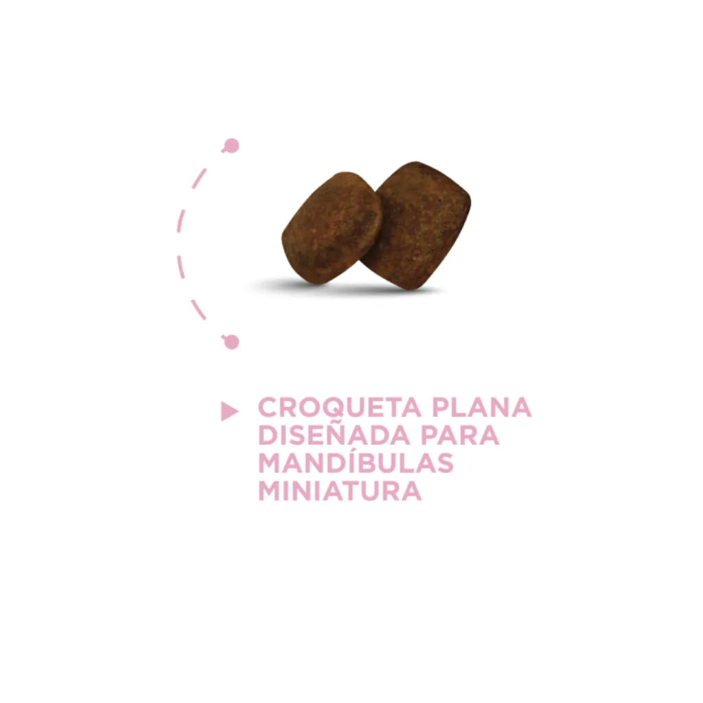 ADULTO RM (3).webp