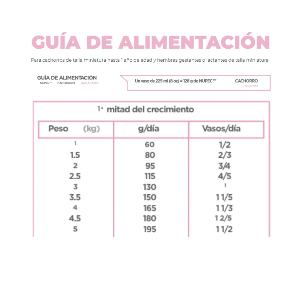 CACHORRO RM (4).webp