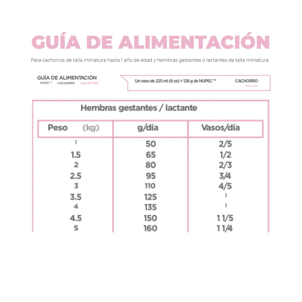 CACHORRO RM (6).webp