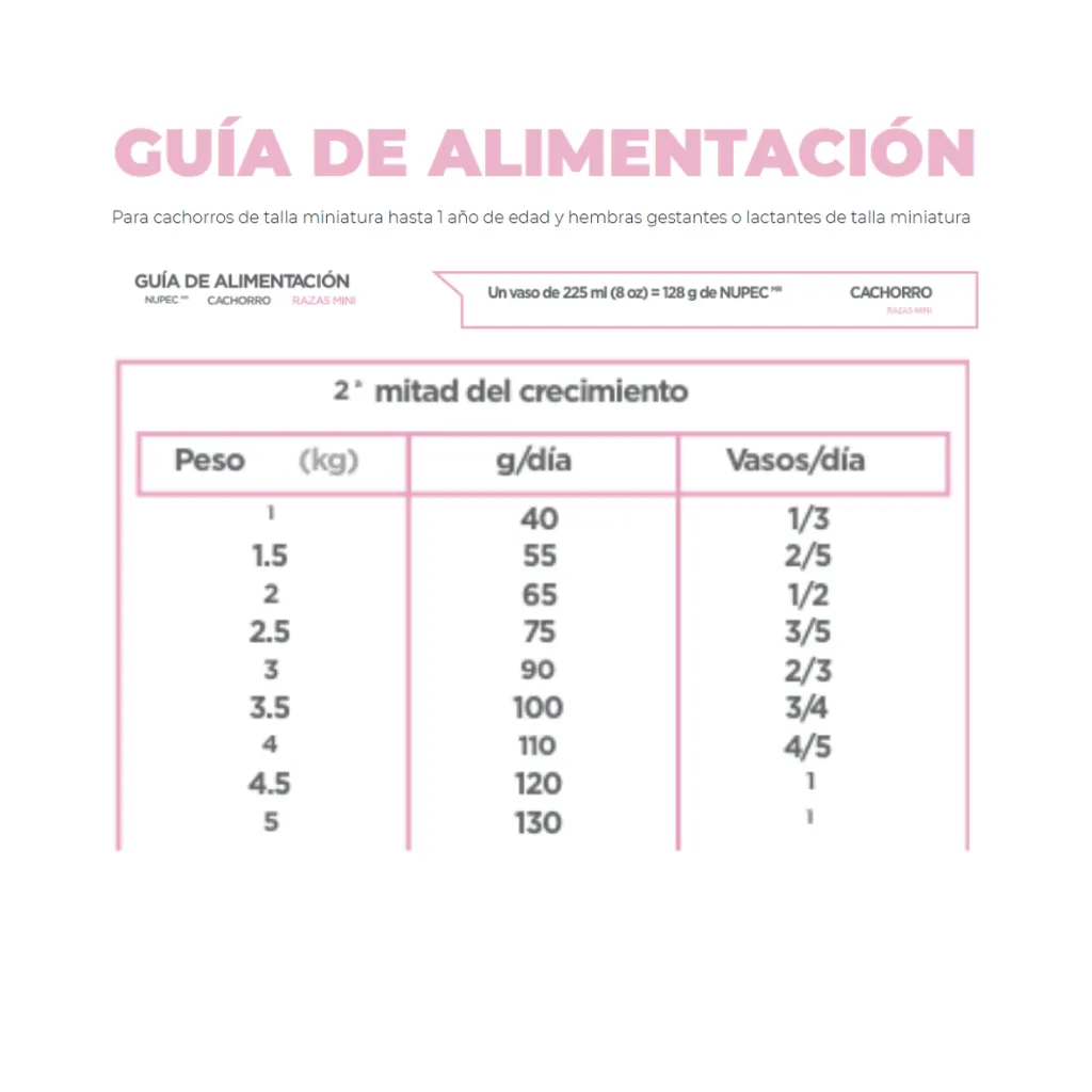 CACHORRO RM (5).webp