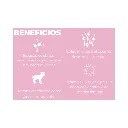 CACHORRO RM (7).webp