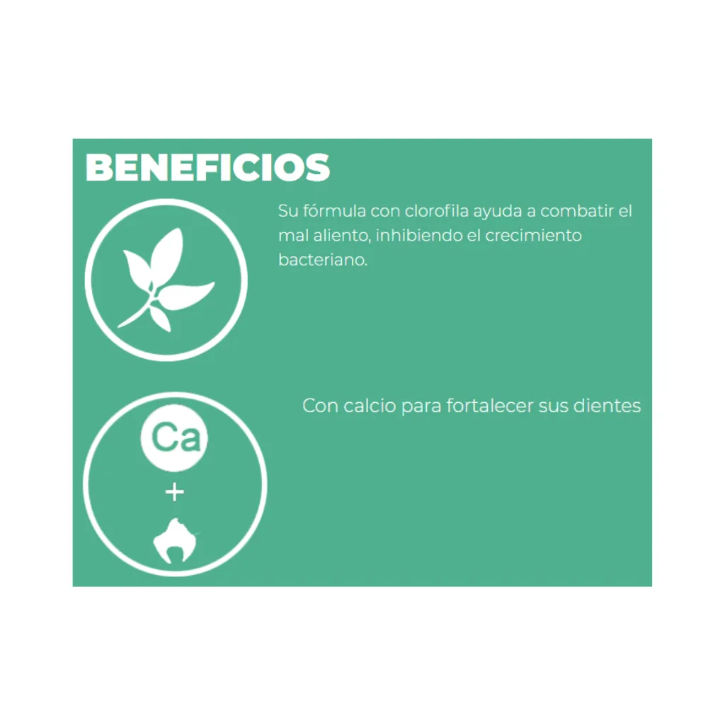 DENTAL CARE (3).webp