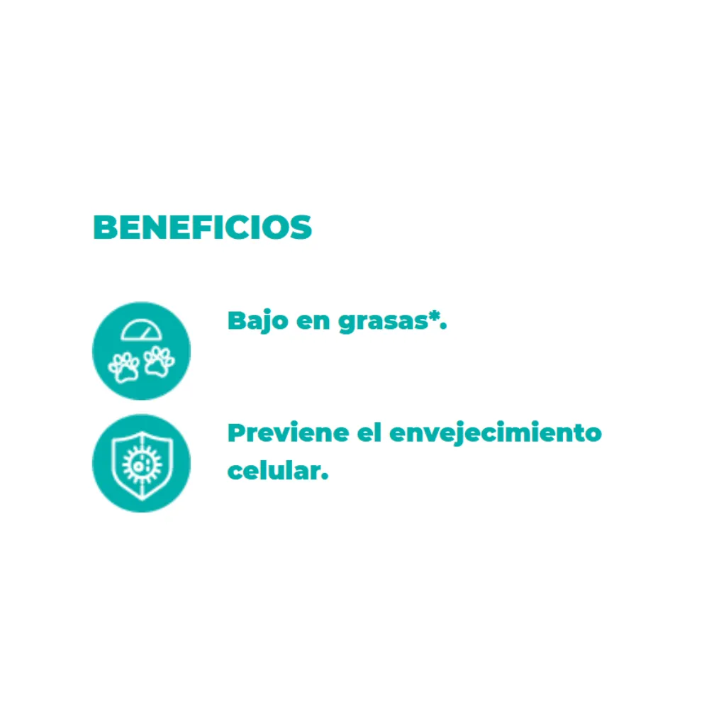 Diseño sin título (1).webp