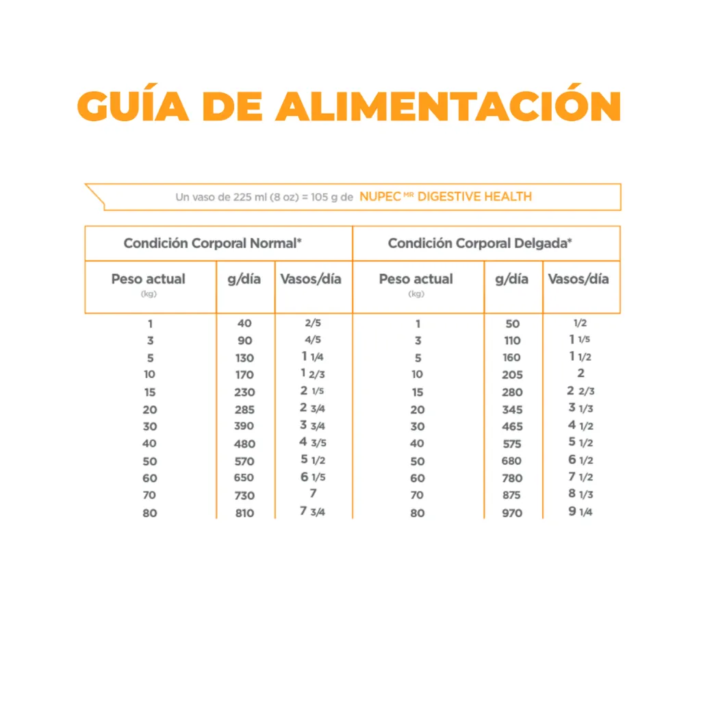 DIGESTIVE HEALTH (2).webp