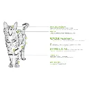 INDOOR (2).webp