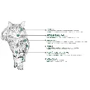 Felino HairBall (5).webp