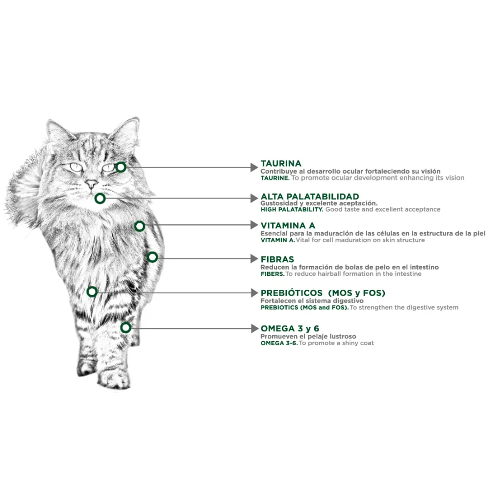 Felino HairBall (5).webp