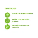 LATA INDOOR (3).webp