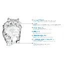 KITTEN (2).webp