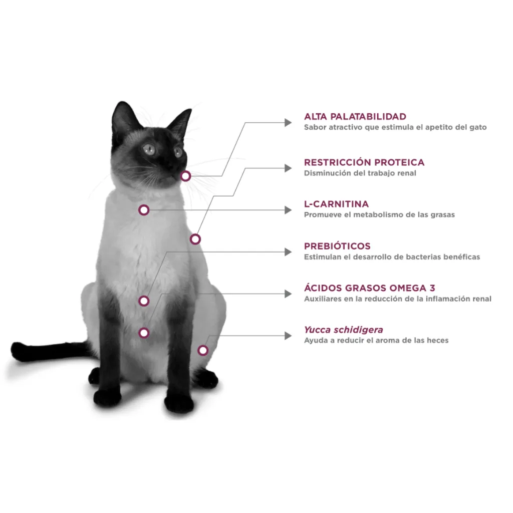 Felino Renal Care (5).webp