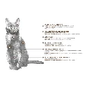 Felino Senior (5).webp