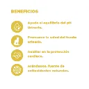 LATA URINARY (3).webp