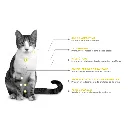 Urinary Management (5).webp