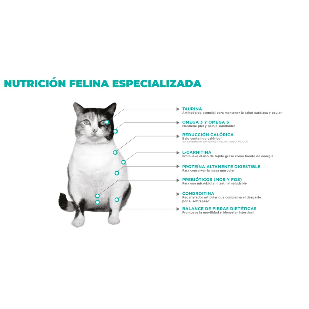 WEIGHT CARE (5).webp