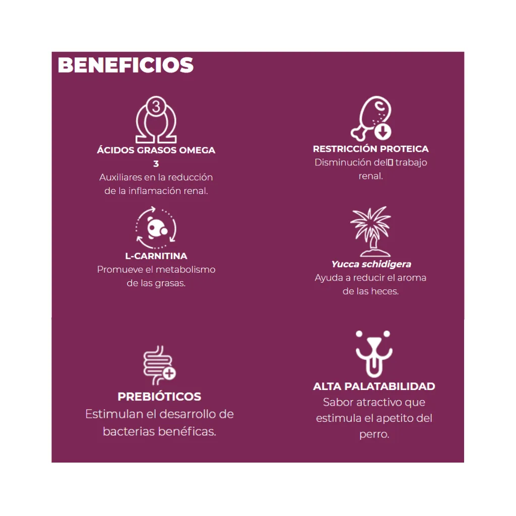 RENAL CARE (4).webp