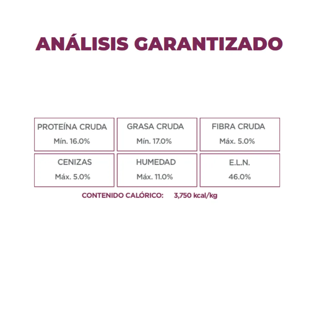 RENAL CARE (3).webp