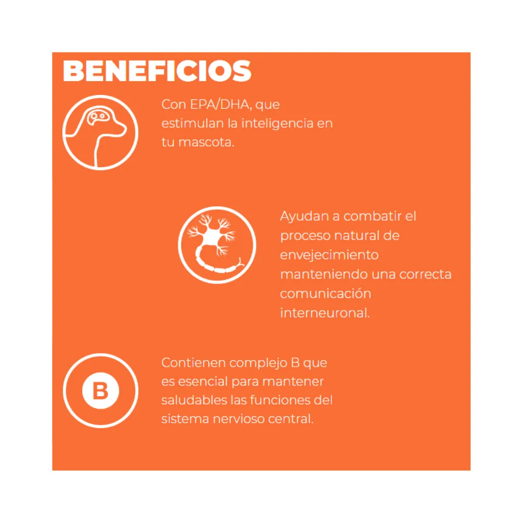 SMART (3).webp