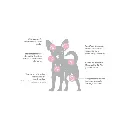 SENIOR RM (2).webp