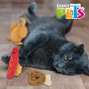 FL9641_M.webp