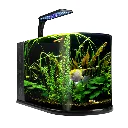 FL7956_L_3.webp