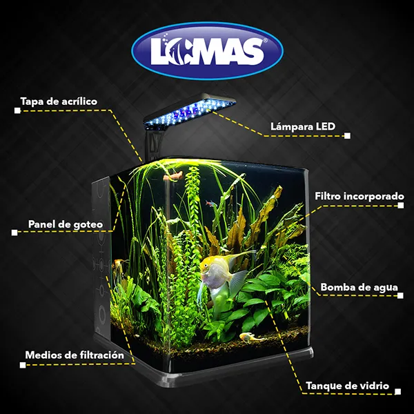 FL7955_M1_3.webp