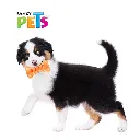 FL8767_M_2.webp