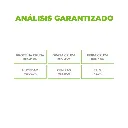 4.webp