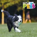 FL9437_M_1.webp