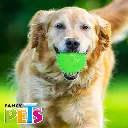 FL9652_M.webp