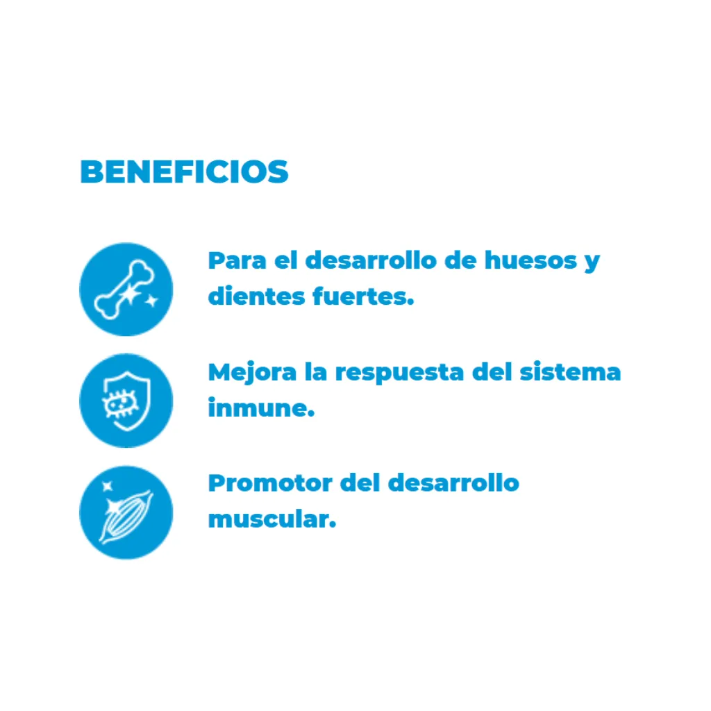 Diseño sin título (8).webp