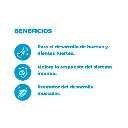 Diseño sin título (8).webp