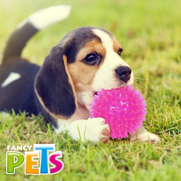 FL9651_M.webp