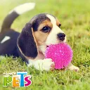 FL9651_M.webp