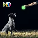 FL9451_M_1.webp