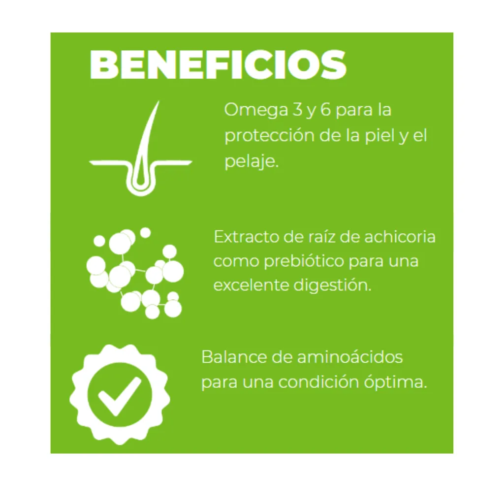 5.webp