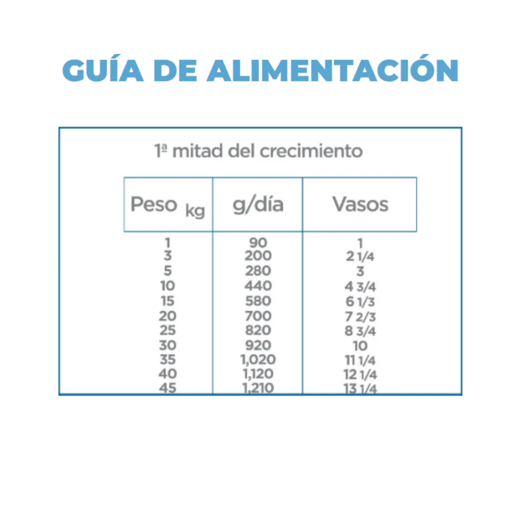 3.webp