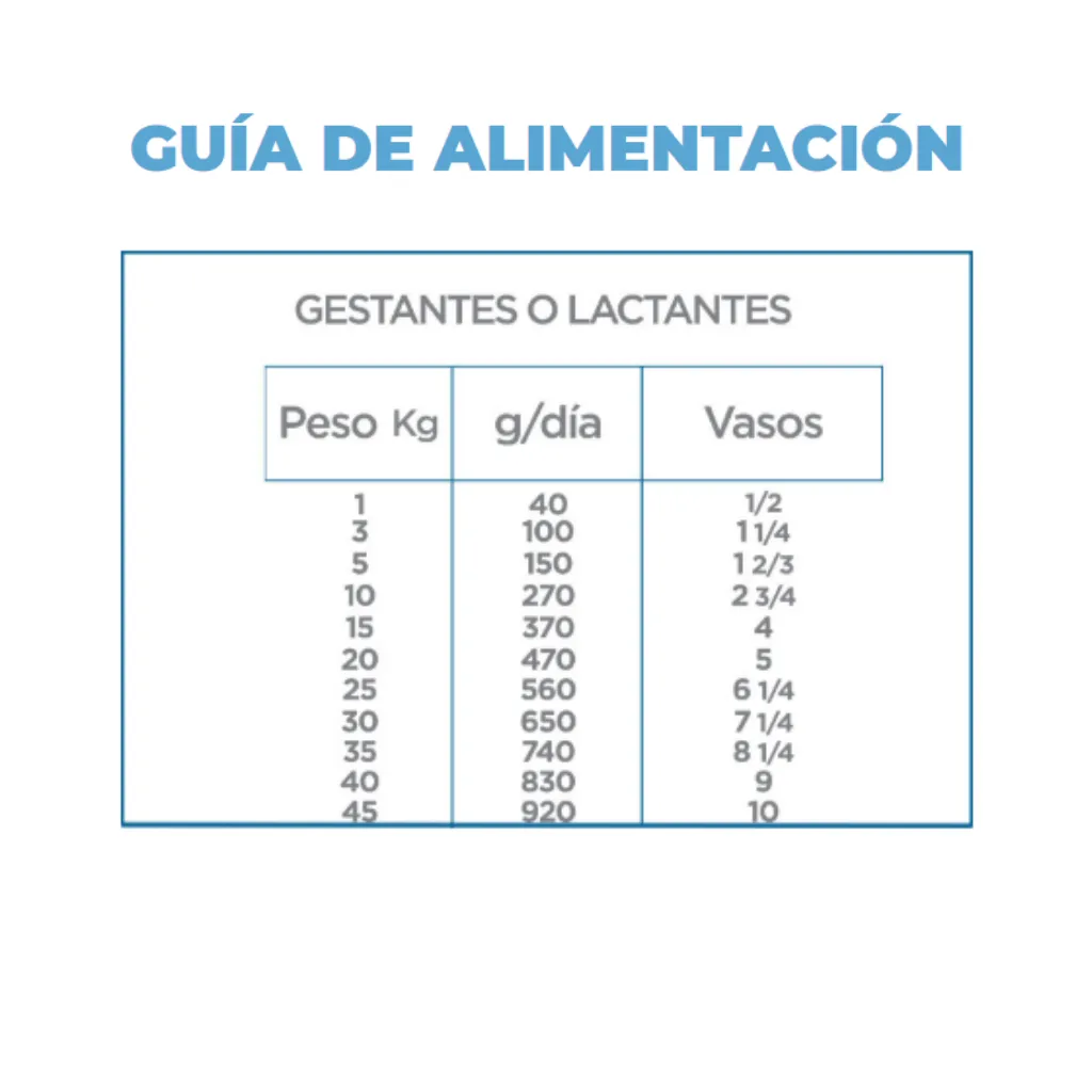 5.webp