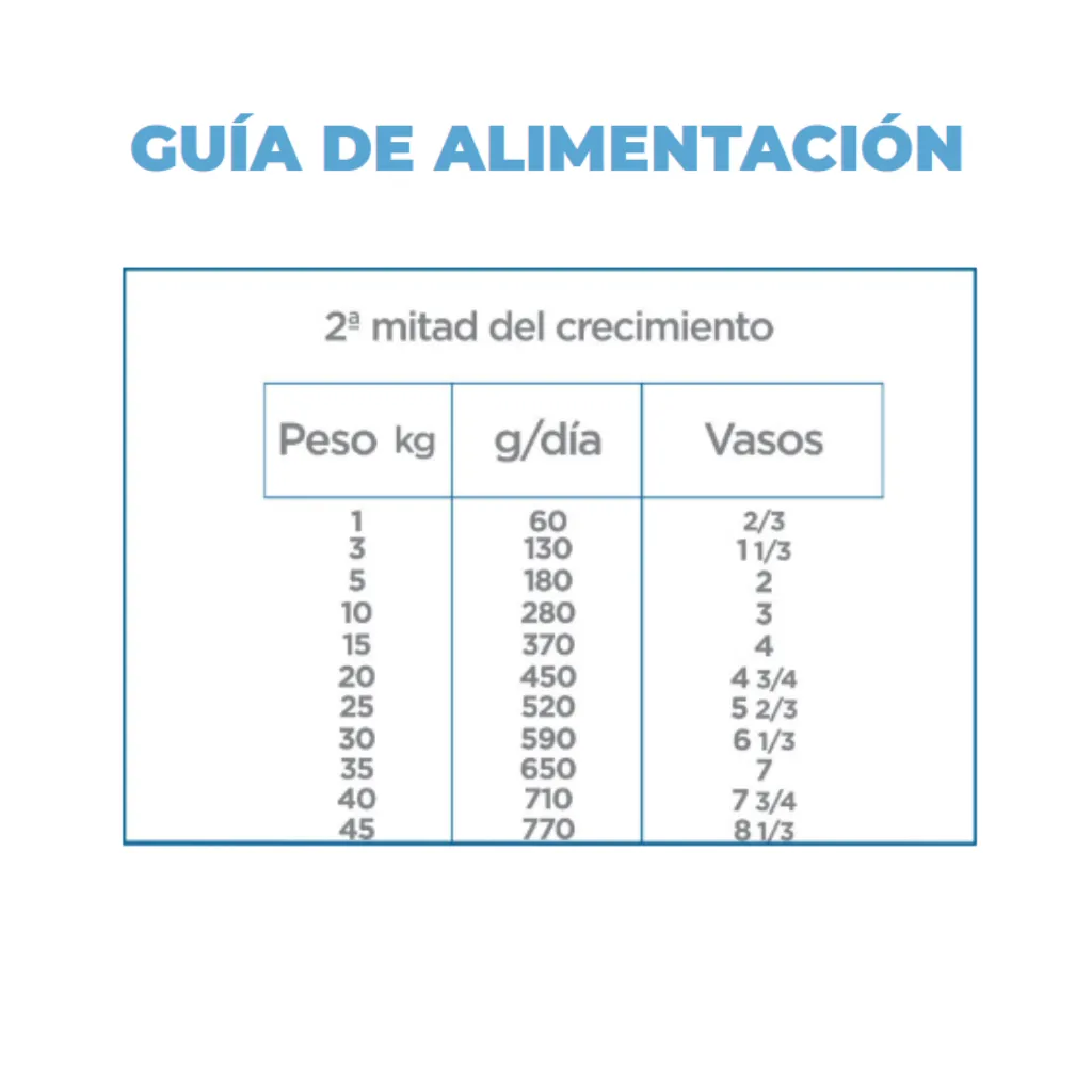 4.webp