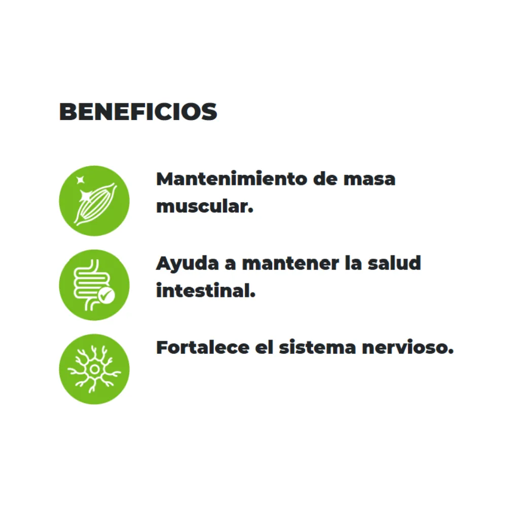 Diseño sin título (7).webp