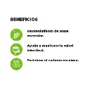 Diseño sin título (7).webp