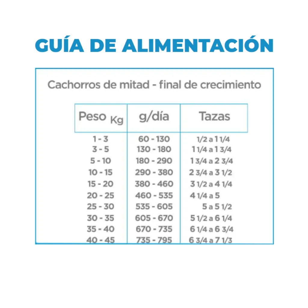 3.webp