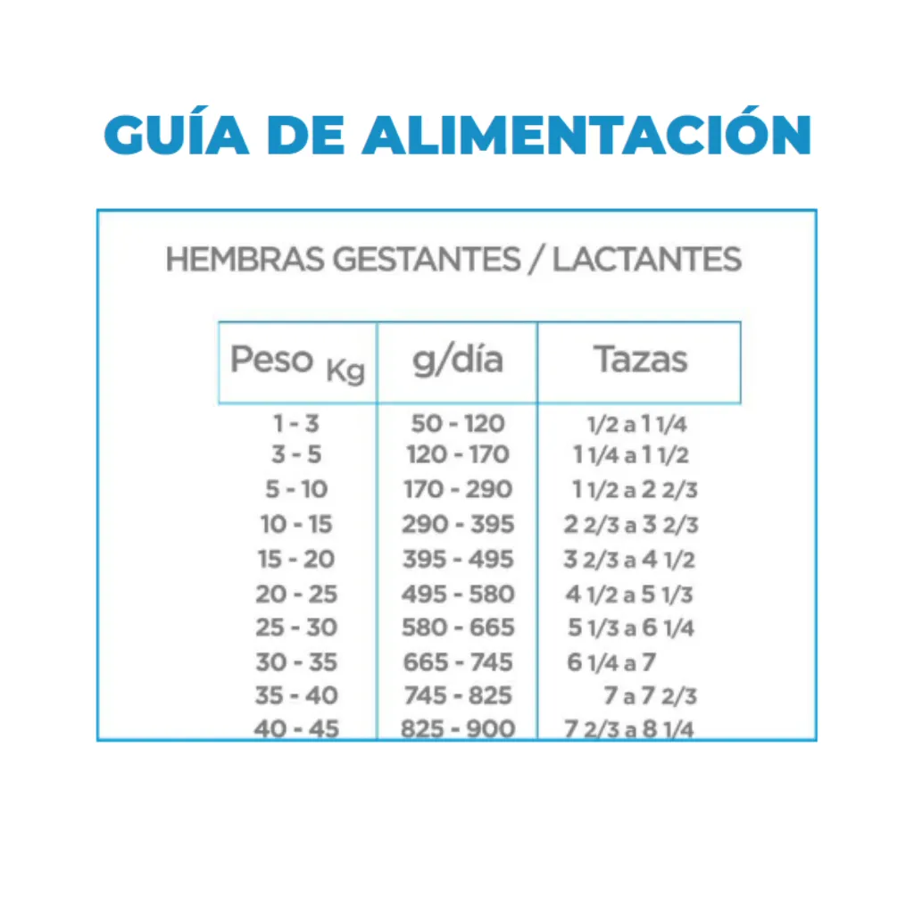 4.webp