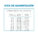 4.webp