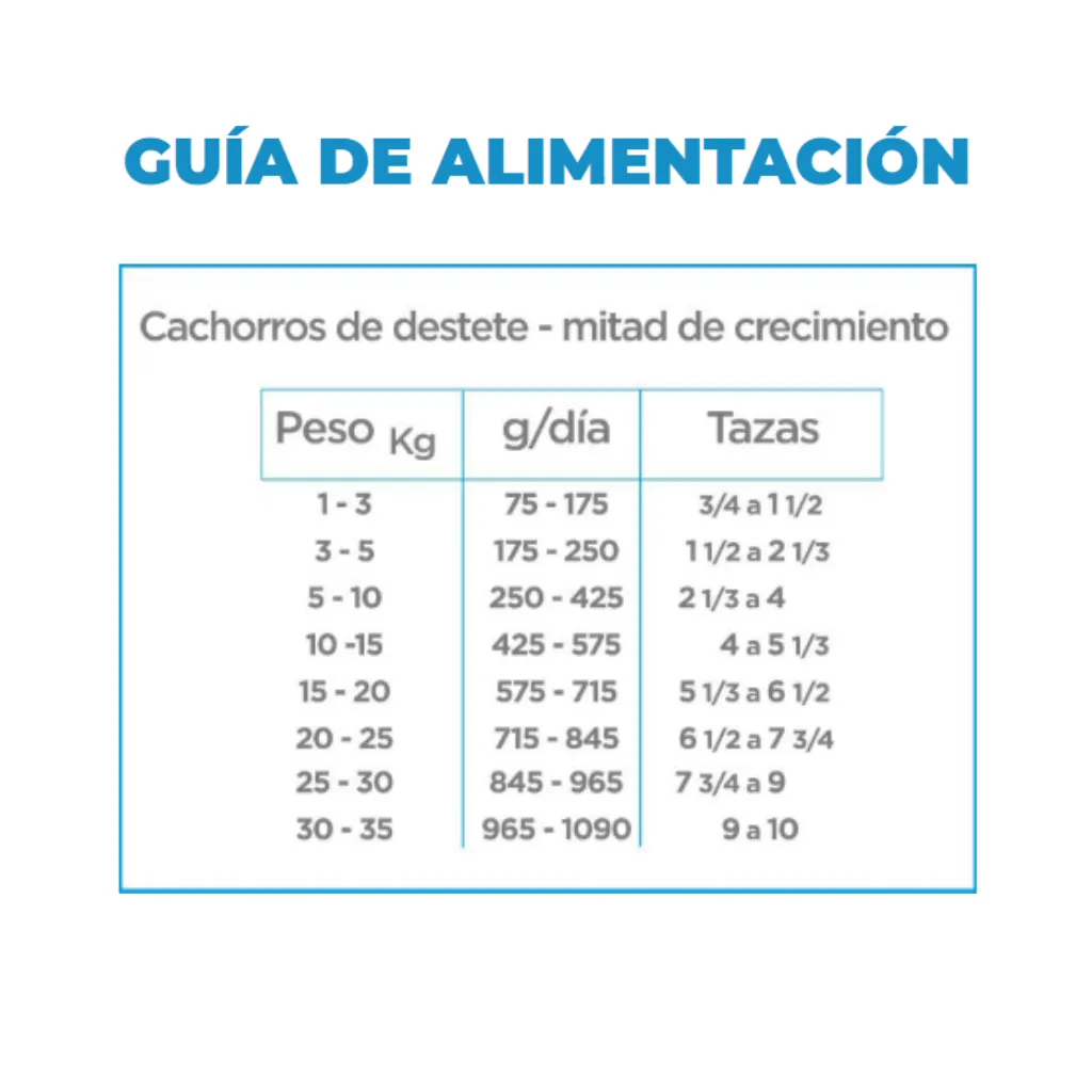5.webp
